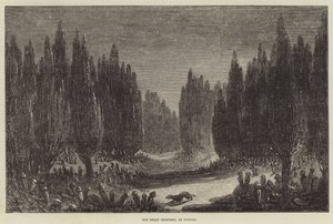 Le Grand Cimetière, à Scutari - Samuel Read